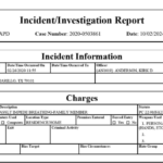 Screenshot 2025-11-13 084039